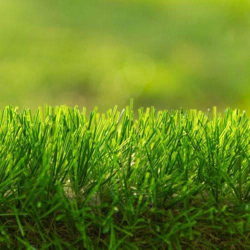 Artificial Turf Installation in Gilbert AZ
