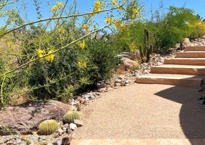 Desert Landscape Design Company in Paradise Valley