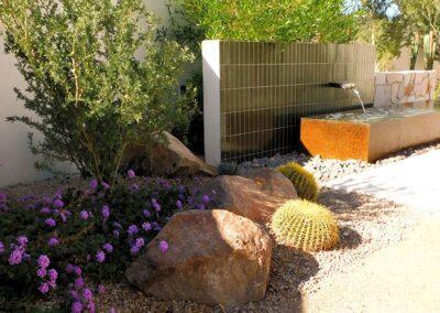 Desert Landscape with Water Feature in Scottsdale