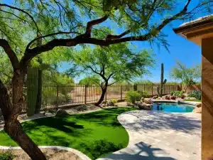 The Best Trees and Plants for Your Arizona Landscape