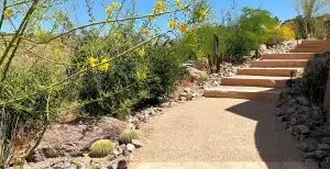 Desert Hardscape layout design in Paradise Valley