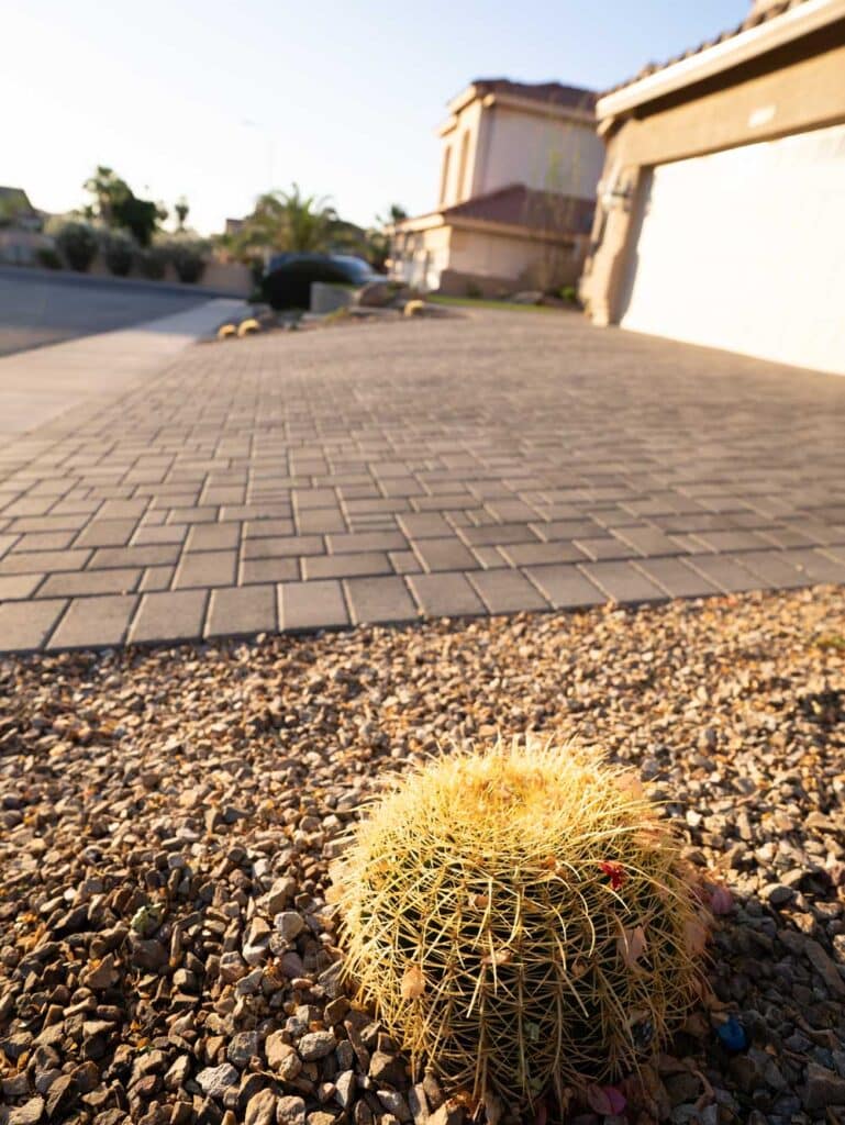 Pavers behind cactus in desert hardscape landscaping