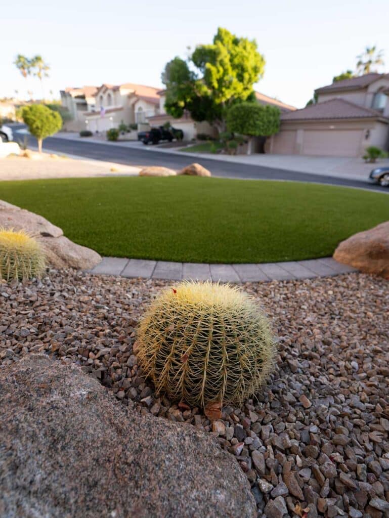 Front Yard Residential Phoenix